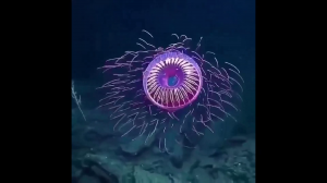 Подборка интересных (невероятных) фактов #16