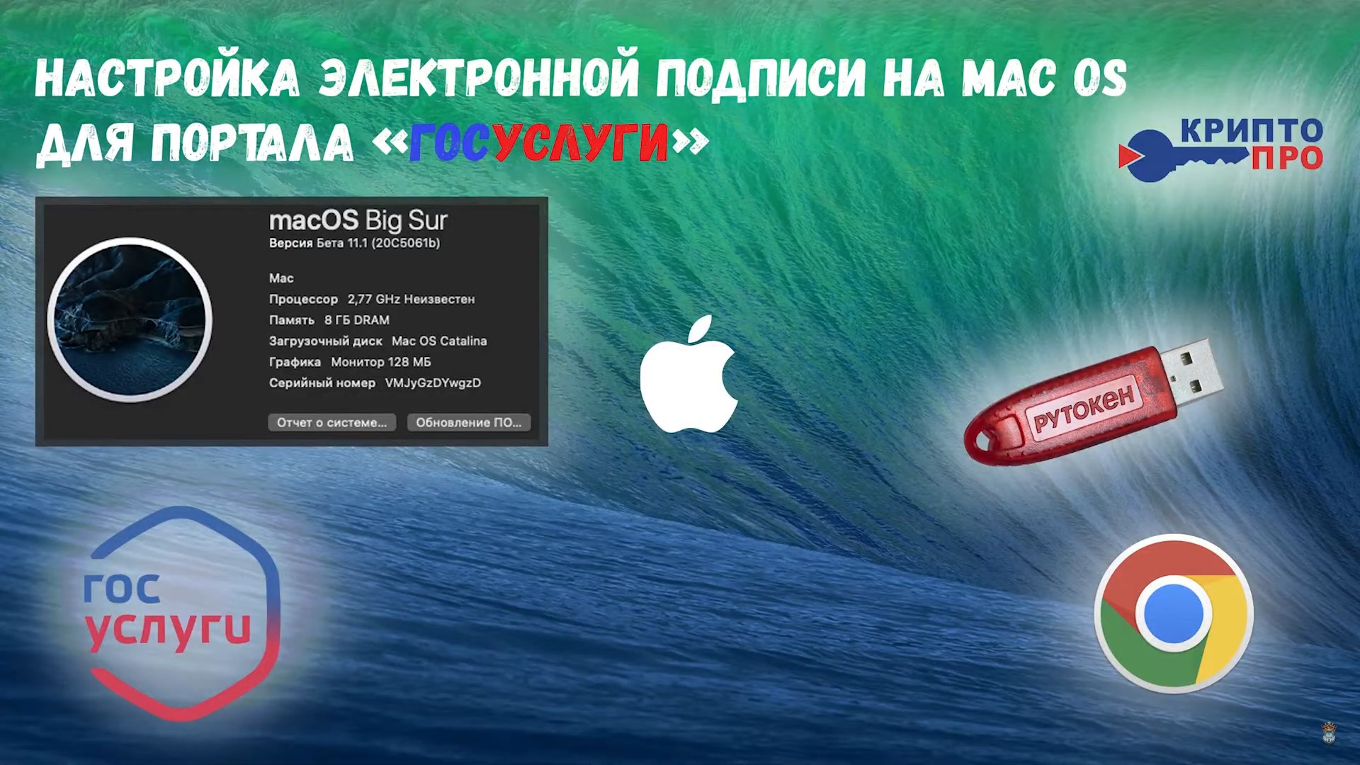 Настройка ЭЦП для портала Госуслуги на Mac OS