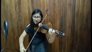 Merry go round of life - Violin Cover