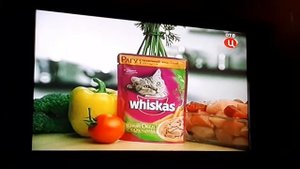 вискас корм для кошек 2009