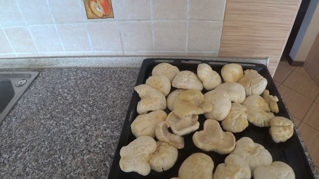 Способы приготовления белого степного гриба и как я рыбачил весной.