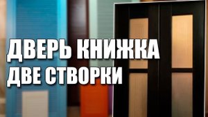 Дверь книжка - две створки