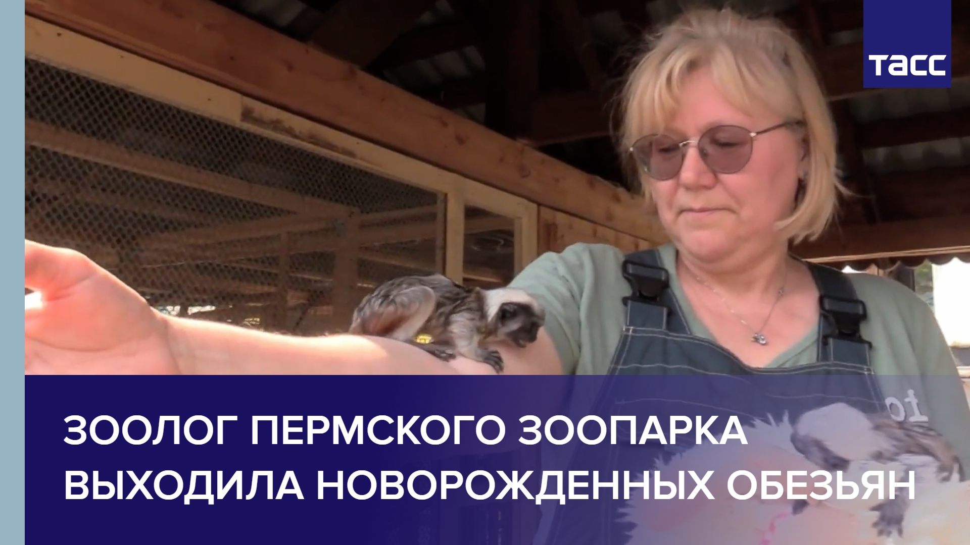 Зоолог Пермского зоопарка выходила новорожденных обезьян