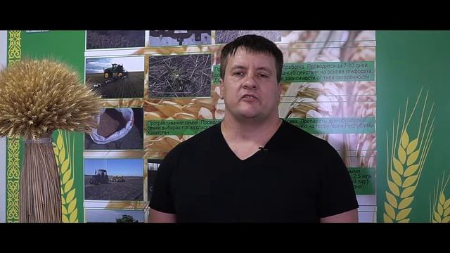 Фертигрейн СТАРТ для предпосевной обработки семян от Компании "AgriTechno". смотреть онлайн