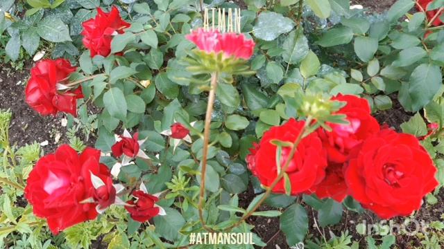 Послание. Пробуждение. Ади Шакти. Кундалини. Очный семинар ч.2. 7-8.08.2021 смотреть онлайн