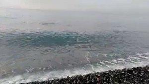 ...Знаешь, каждую ночь я вижу во сне море... Утро. Travel Бян-Кин-До.