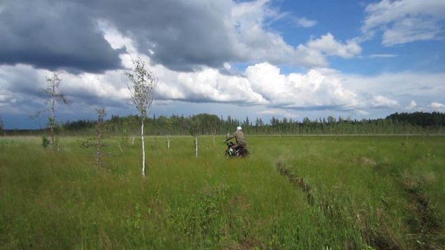 А.Г и "Барс" на болоте смотреть онлайн