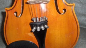 Pictures of My Violin