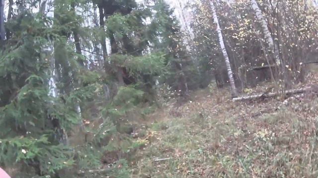 Дуся и лоси смотреть онлайн