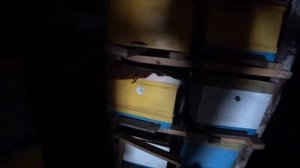 Зимовка в омшаннике. Вентиляция в ульях