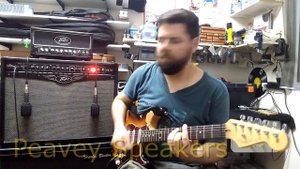 Peavey Valveking 20 MH x VK212 Combo (Celestion V30 & G12T)