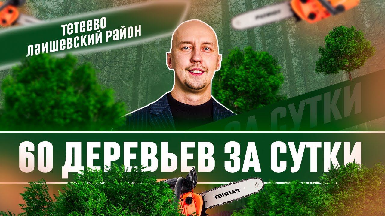 Спил деревьев и расчистка участка в Тетеево, Лаишевский район РТ