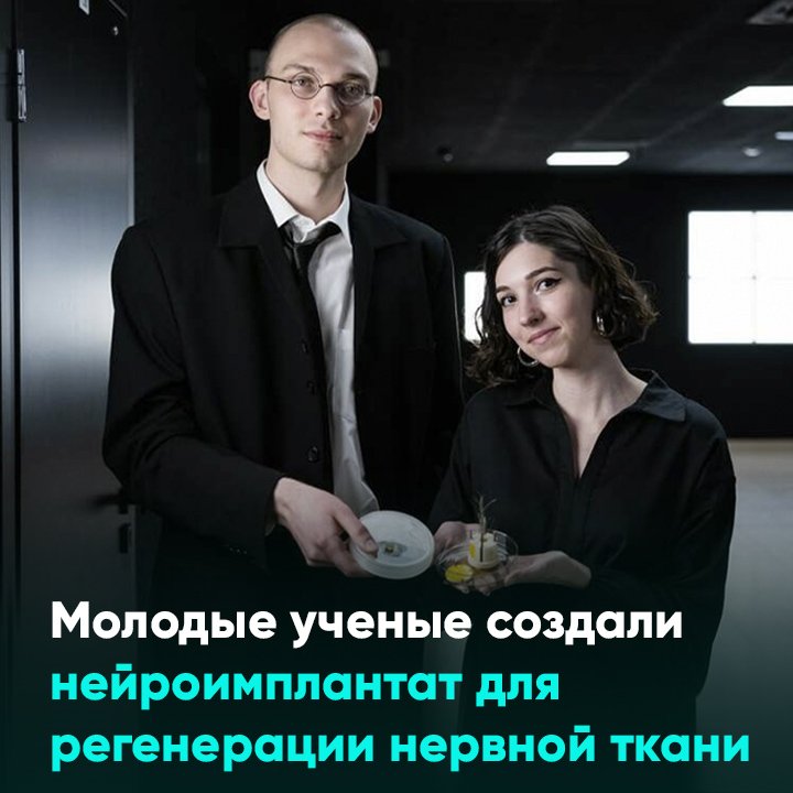Молодые ученые создали нейроимплантат для регенерации нервной ткани