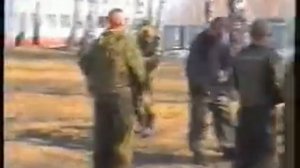 Сдача на Краповый берет