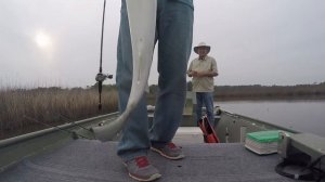 Fishing West Fowl River | Fowl River Bay - 11-13-16