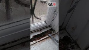 Эпоксидная смола + опилки. Ремонт прогнившей оконной рамы.
