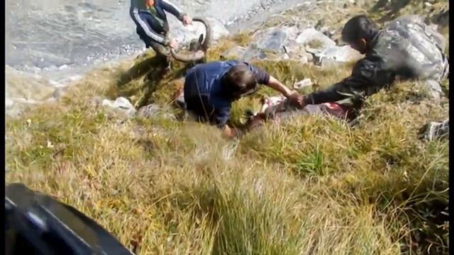 ОХОТА НА ТУРА В ДАГЕСТАНЕ смотреть онлайн