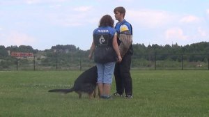 Шерон, сдача ИПО-1, раздел С