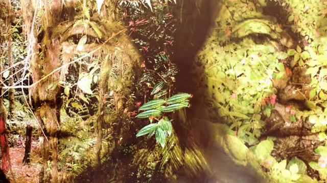 Solo el amor - Diego Palma смотреть онлайн