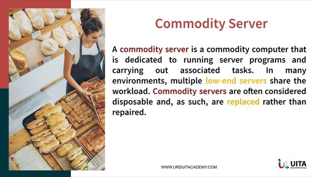 Mern Series Lec-5 | Mern Stack Project Course | NoSQL vs SQL in a Mern Stack