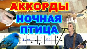 Ночная птица Аккорды ? Константин Никольский Воскресенье ♪ Разбор песни на гитаре ♫ Гитарный Бой