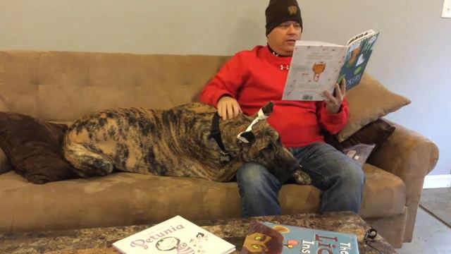 Snowday with Samson Quackers, The Lion Inside, Petunia смотреть онлайн