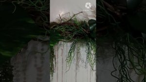 свадебная арка. декор.