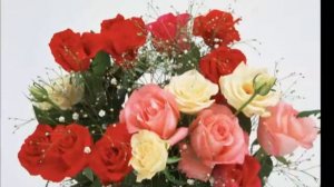 Поздравление ко Дню учителя mp4