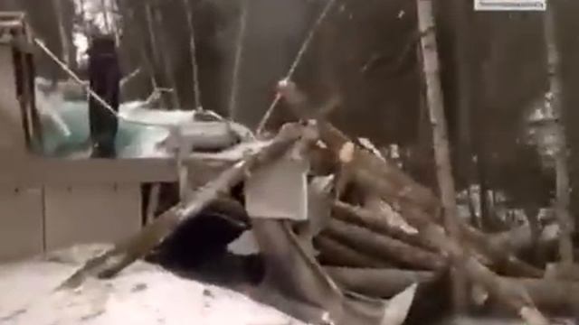 Под Выборгом лесовоз столкнулся с грузовиком