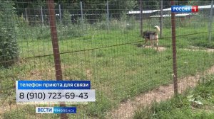 Смолян просят помочь приюту Натальи Беликовой