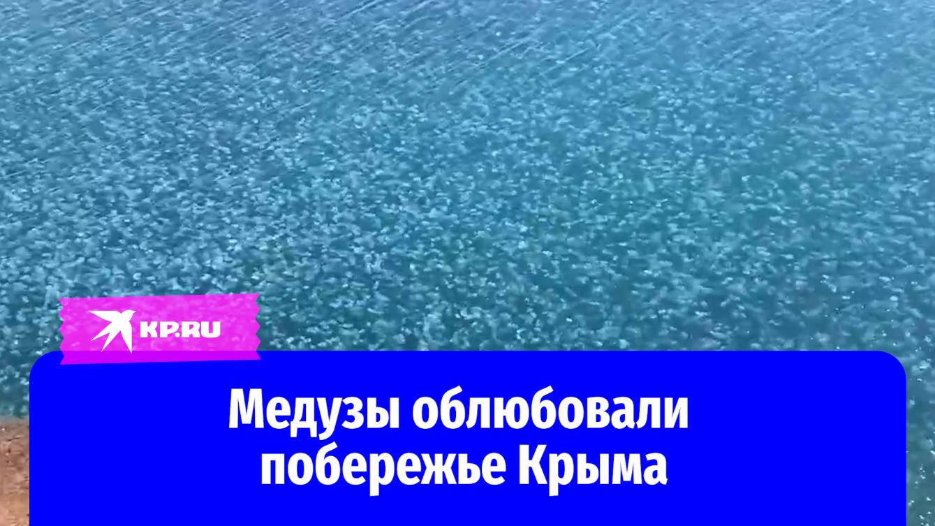 Крымчане сняли нашествие медуз у мыса Тарханкут
