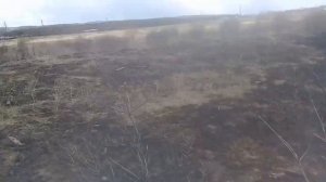 Металлоискатель МД4030 ищет ли медь? Нашёл клондайк