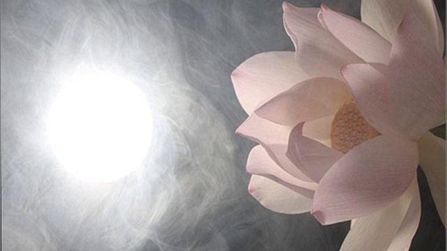 Antonio Vivaldi: Dresden sonata for violin/oboe & b.c. in B minor (RV 34) смотреть онлайн