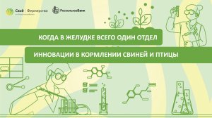 Когда в желудке всего один отдел: инновации в кормлении свиней и птицы