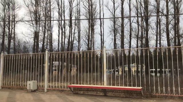 ПОЕЗДКА НА ЭС2Г 013 «ЛАСТОЧКА» от СОСНОВОЙ ПОЛЯНЫ ДО ОРАНИЕНБАУМ-1. смотреть онлайн