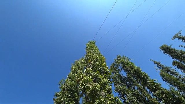 Путешествие в Европу на машине. От Москвы до Парижа. 7 стран. смотреть онлайн