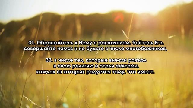Сура 30. "Ар-Рум"  Римляне