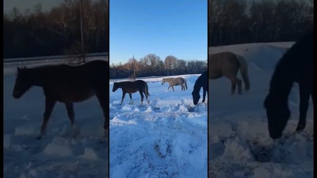 Отдых в горах Адыгеи/Туристическая база отдыха "Активация"