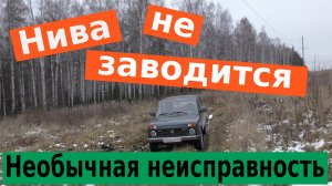 Инжекторная Нива (LADA 4x4) не заводится. Не работает бензонасос.