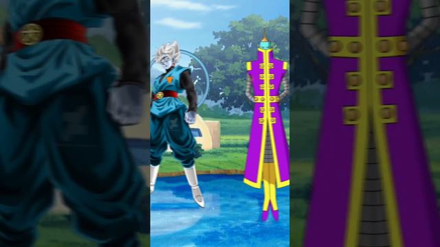 Grand Priest Ture Form Vs Zeno True Form  | Who is strongest