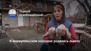 В мариупольском зоопарке родились львята
