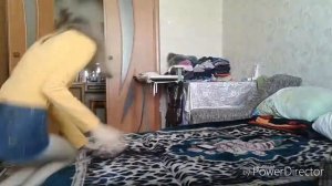 ПОМЕНЯЛИСЬ ТЕЛАМИ?!Обмен телами с кошкой!