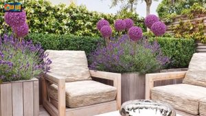 Стиль Прованс в ландшафтном дизайне загородного участка.