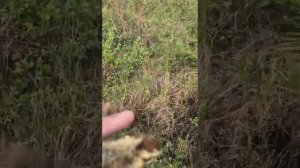 Охота и Рыбалка на Чукотке.