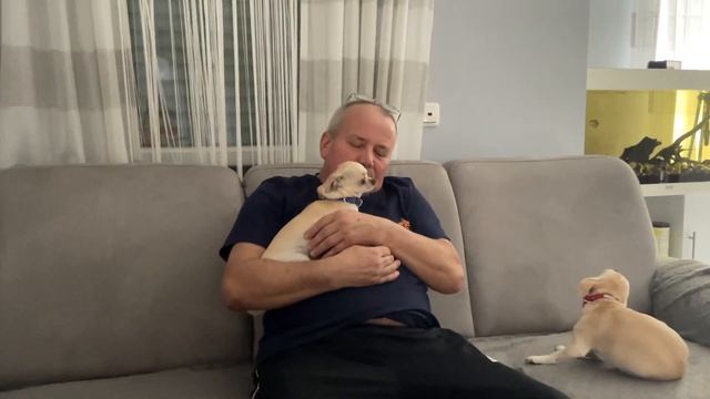 Неожиданно,вспомните,вашу юность юности,макияж-попугай,хорошая новость,тыква запечённая в аэрогриль
