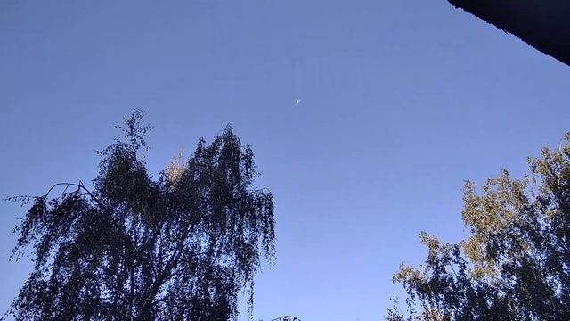 Просто сказка - Москва - магическое ☀️ Карлуша и кот Вася... 5 сентября 2023 года. смотреть онлайн