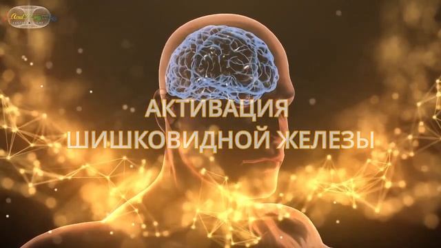 Активируй МОЗГ БОГА ? КУРС КВАНТОВЫЙ МОЗГ