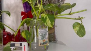 Швейная комната. Румтур 2021. Sasha Candy