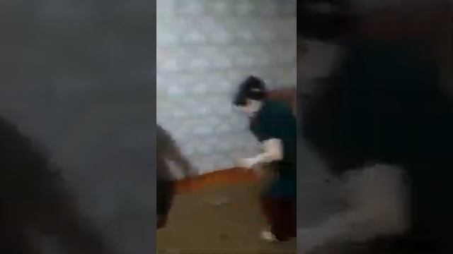 С днём рождения Зуля....(1) смотреть онлайн