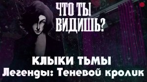 КАМЕРЫ НАБЛЮДЕНИЯ из развлекательного центра книги КЛЫКИ ТЬМЫ. Легенды: Теневой кролик